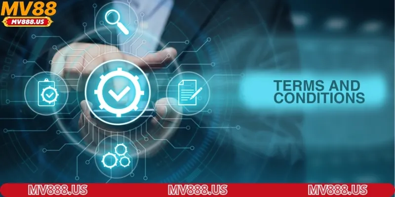 hieu-dung-ve-dieu-khoan-trong-giai-tri-truc-tuyen